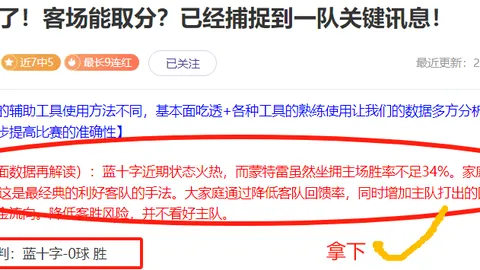 体育传奇之旅：艰难探索中的无限欢愉